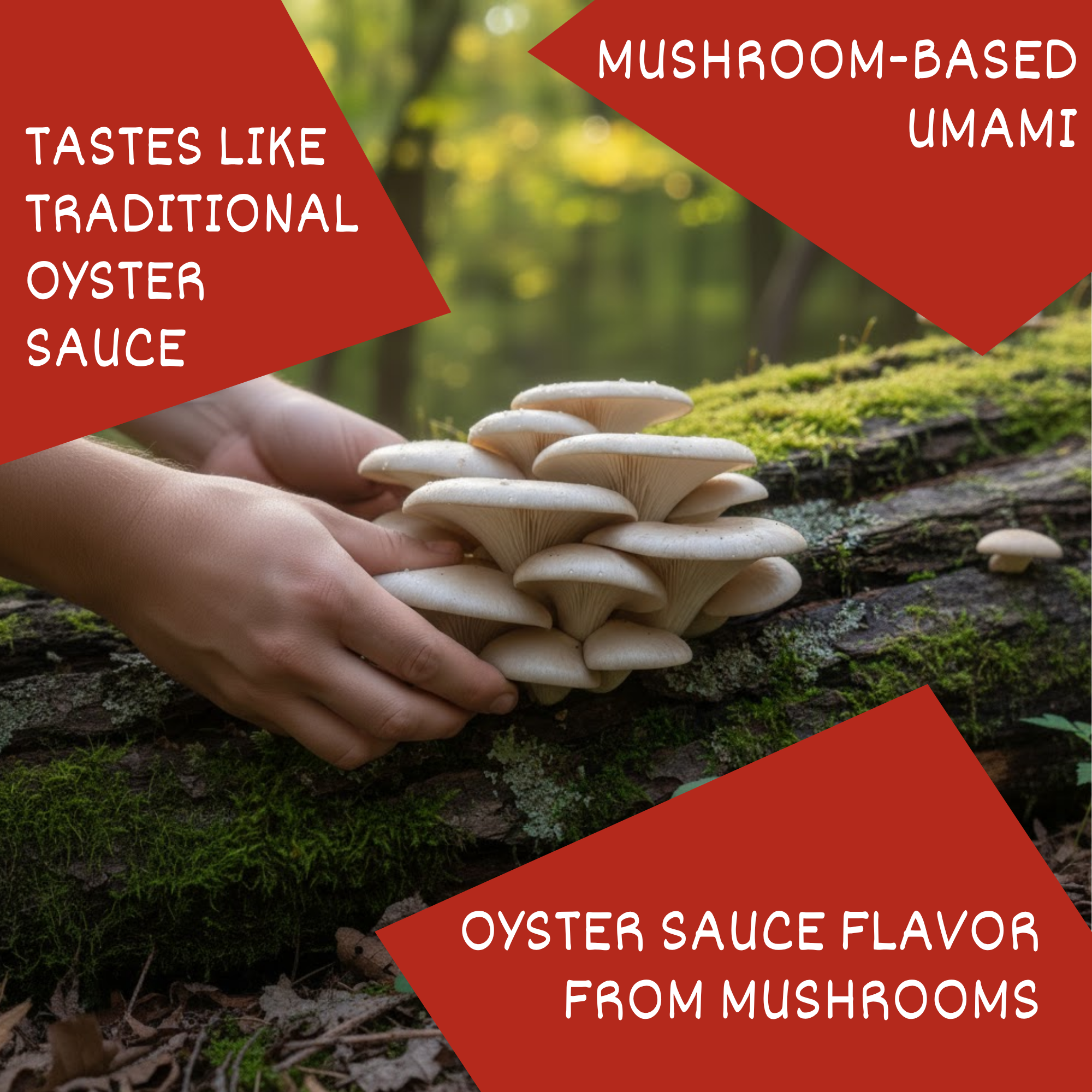 Oyster Sauce