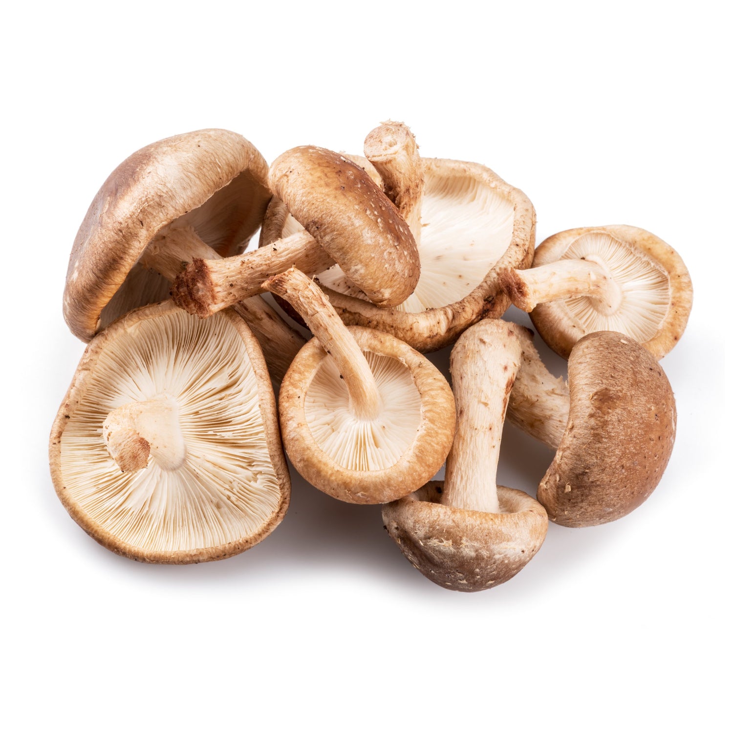 Mushroom Seasoning & Snacks